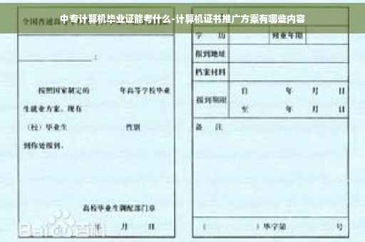 中专计算机毕业证能考什么-计算机证书推广方案有哪些内容