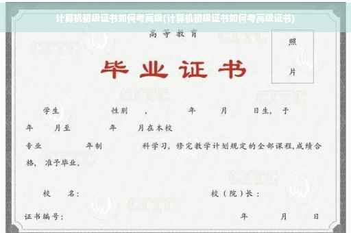 计算机初级证书如何考高级(计算机初级证书如何考高级证书)