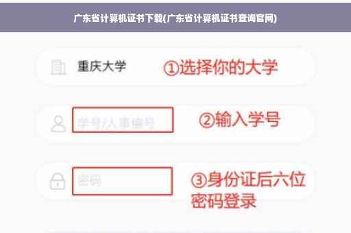 广东省计算机证书下载(广东省计算机证书查询官网)
