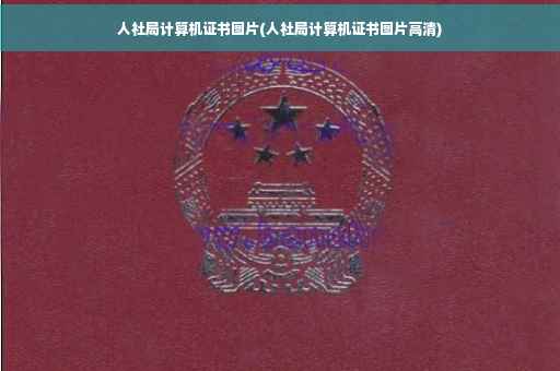 人社局计算机证书图片(人社局计算机证书图片高清)