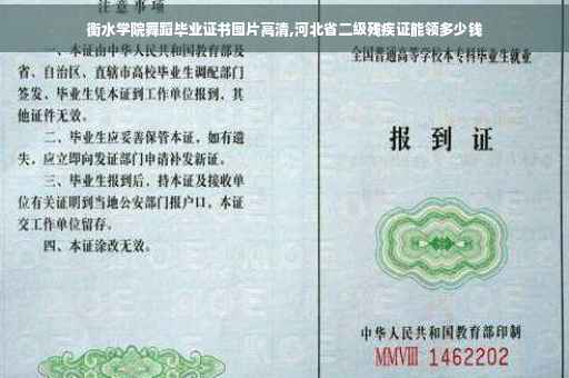 衡水学院舞蹈毕业证书图片高清,河北省二级残疾证能领多少钱