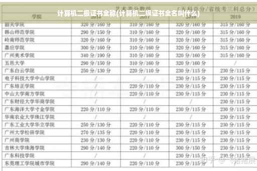 计算机二极证书全称(计算机二级证书全名叫什么)