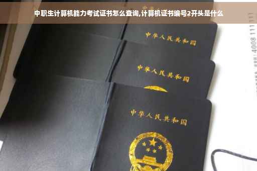 中职生计算机能力考试证书怎么查询,计算机证书编号2开头是什么