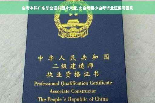 自考本科广东毕业证书图片大全,大自考和小自考毕业证编号区别