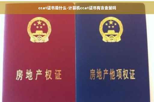 ccat证书是什么-计算机ccat证书有含金量吗