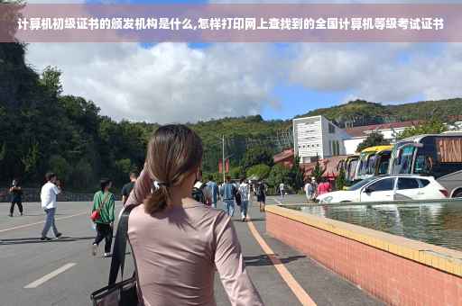 计算机初级证书的颁发机构是什么,怎样打印网上查找到的全国计算机等级考试证书