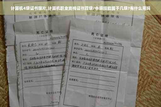 计算机4级证书图片,计算机职业资格证书四级/中级技能属于几级?有什么用吗