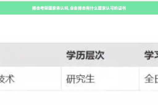 搏击考级国家承认吗,自由搏击有什么国家认可的证书