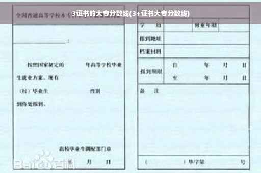 3证书的大专分数线(3+证书大专分数线)