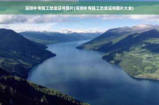 深圳中专技工毕业证书图片(深圳中专技工毕业证书图片大全)