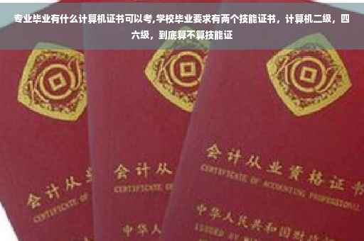 专业毕业有什么计算机证书可以考,学校毕业要求有两个技能证书，计算机二级，四六级，到底算不算技能证