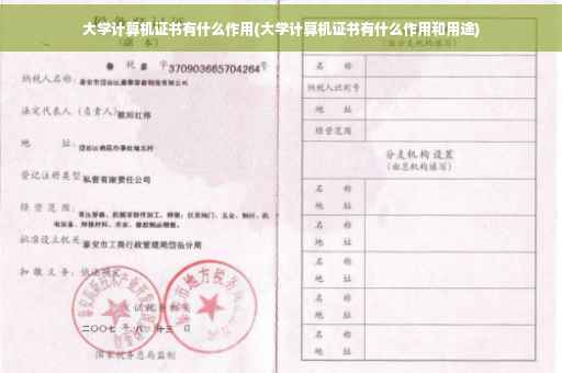 大学计算机证书有什么作用(大学计算机证书有什么作用和用途)
