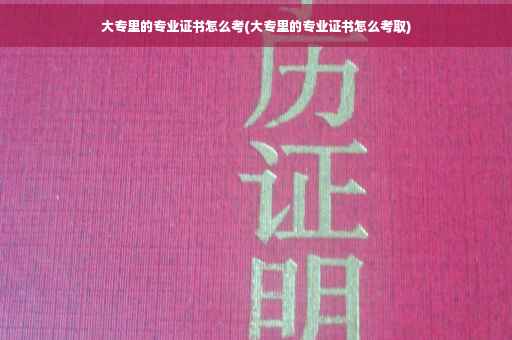 大专里的专业证书怎么考(大专里的专业证书怎么考取)