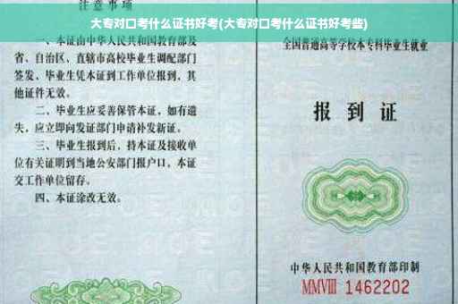 大专对口考什么证书好考(大专对口考什么证书好考些)