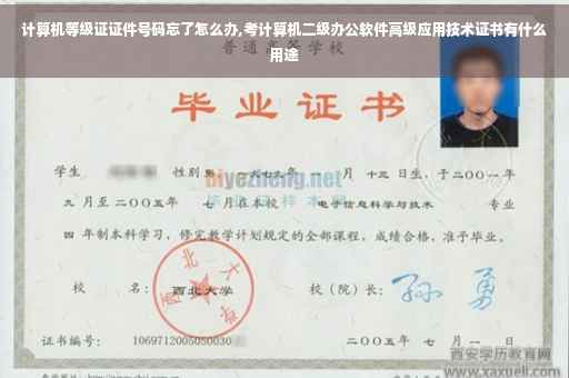 计算机等级证证件号码忘了怎么办,考计算机二级办公软件高级应用技术证书有什么用途