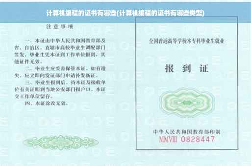 计算机编程的证书有哪些(计算机编程的证书有哪些类型)