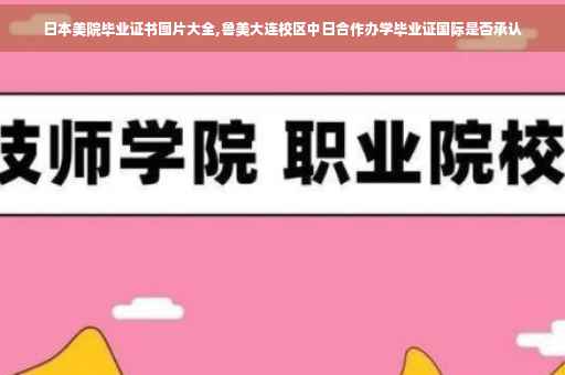 日本美院毕业证书图片大全,鲁美大连校区中日合作办学毕业证国际是否承认