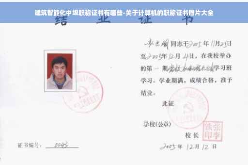 建筑智能化中级职称证书有哪些-关于计算机的职称证书图片大全