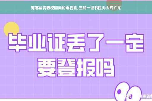 有哪些青春校园类的电视剧,三加一证书民办大专广东