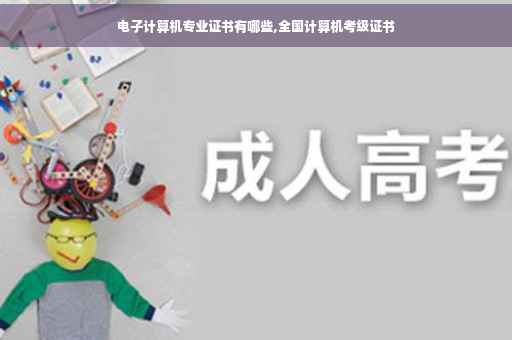 电子计算机专业证书有哪些,全国计算机考级证书