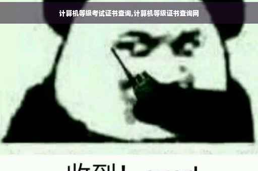 计算机等级考试证书查询,计算机等级证书查询网
