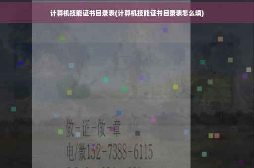 计算机技能证书目录表(计算机技能证书目录表怎么填)