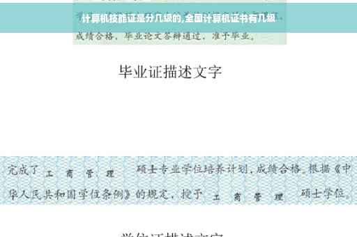计算机技能证是分几级的,全国计算机证书有几级