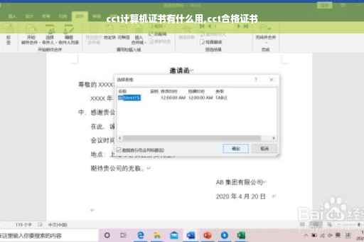 cct计算机证书有什么用,cct合格证书