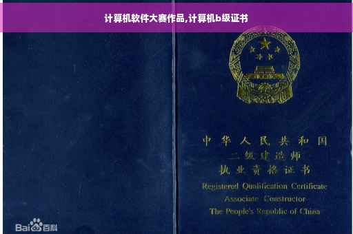 计算机软件大赛作品,计算机b级证书