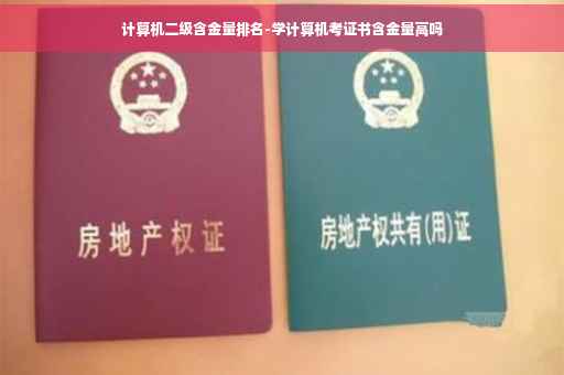 计算机二级含金量排名-学计算机考证书含金量高吗