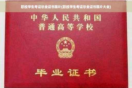 职校学生考证毕业证书图片(职校学生考证毕业证书图片大全)