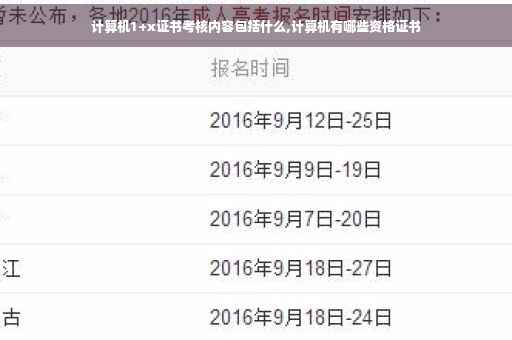 计算机1+x证书考核内容包括什么,计算机有哪些资格证书