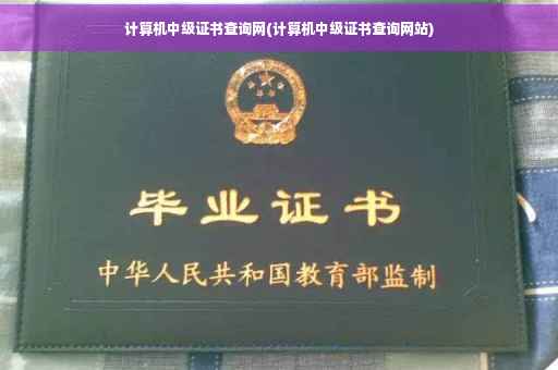 计算机中级证书查询网(计算机中级证书查询网站)