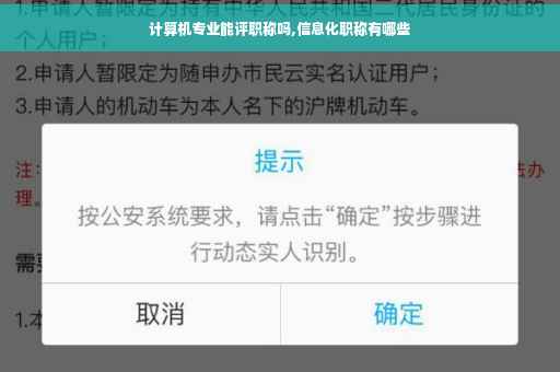 计算机专业能评职称吗,信息化职称有哪些