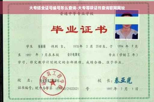 大专结业证号编号怎么查询-大专等级证书查询官网网址