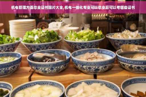 机电管理方面毕业证书图片大全,机电一体化专业可以毕业后可以考哪些证书