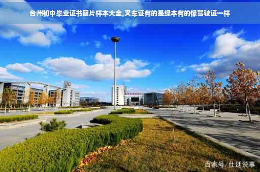 台州初中毕业证书图片样本大全,叉车证有的是绿本有的像驾驶证一样 台州初中毕业证书图片样本大全,叉车证有的是绿本有的像驾驶证一样