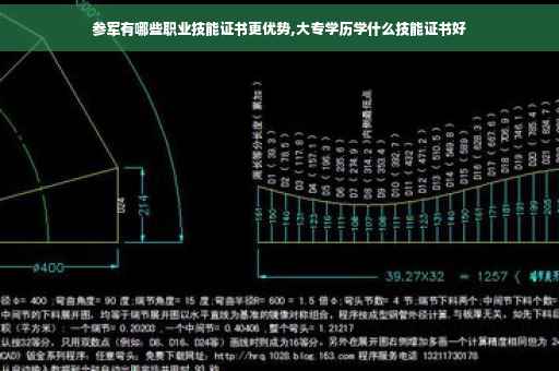 参军有哪些职业技能证书更优势,大专学历学什么技能证书好