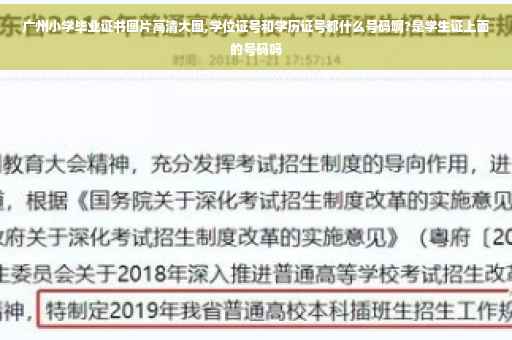 广州小学毕业证书图片高清大图,学位证号和学历证号都什么号码啊?是学生证上面的号码吗