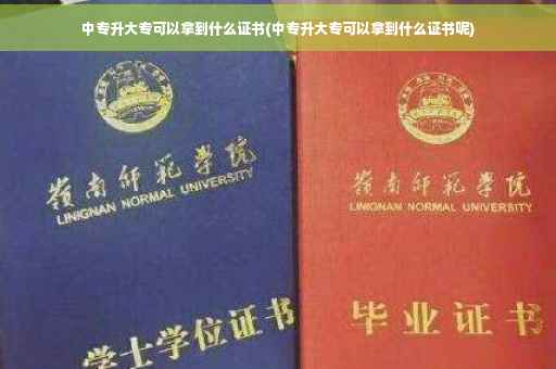 中专升大专可以拿到什么证书(中专升大专可以拿到什么证书呢)