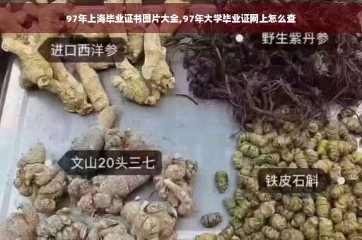 97年上海毕业证书图片大全,97年大学毕业证网上怎么查