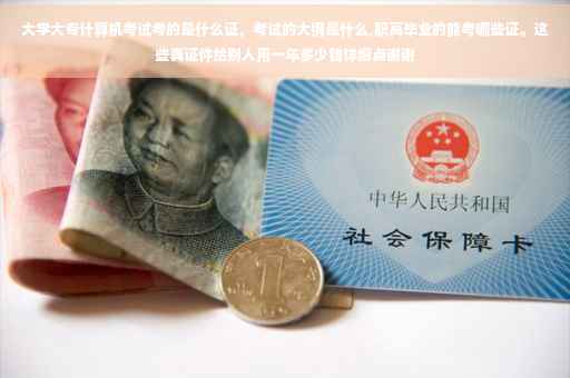 大学大专计算机考试考的是什么证，考试的大纲是什么,职高毕业的能考哪些证。这些真证件给别人用一年多少钱详细点谢谢