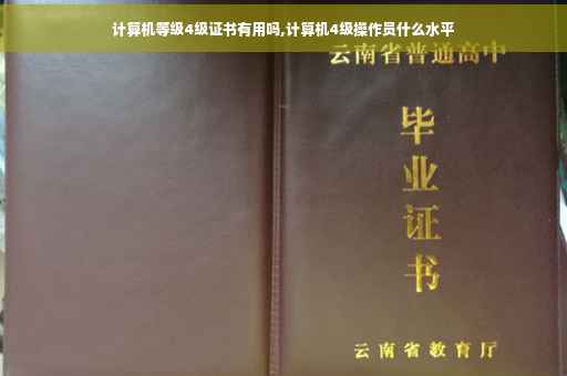 计算机等级4级证书有用吗,计算机4级操作员什么水平