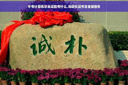 中专计算机毕业证能考什么,自动化证书含金量排名