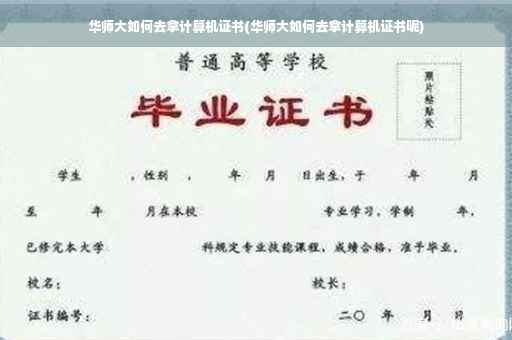 华师大如何去拿计算机证书(华师大如何去拿计算机证书呢)