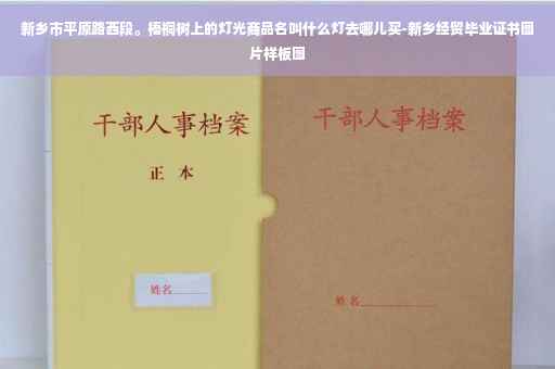 新乡市平原路西段。梧桐树上的灯光商品名叫什么灯去哪儿买-新乡经贸毕业证书图片样板图