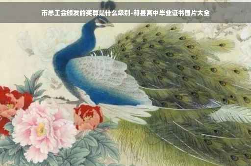 市总工会颁发的奖算是什么级别-和县高中毕业证书图片大全