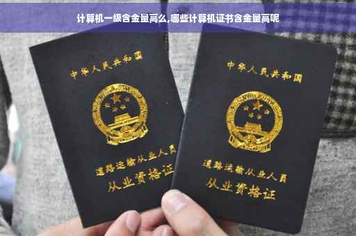 计算机一级含金量高么,哪些计算机证书含金量高呢