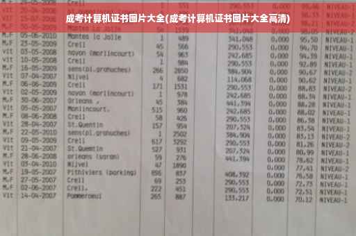 成考计算机证书图片大全(成考计算机证书图片大全高清)