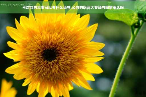 不对口的大专可以考什么证书,公办的职高大专证书国家承认吗